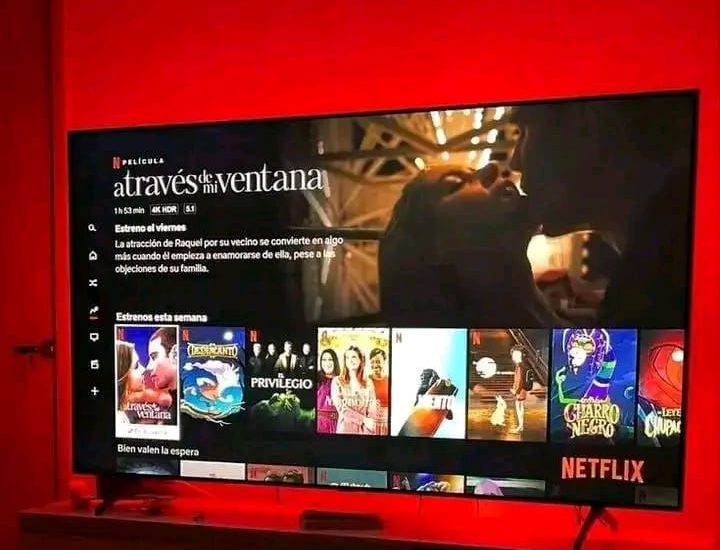 Netflix Platform streaming film dan serial TV