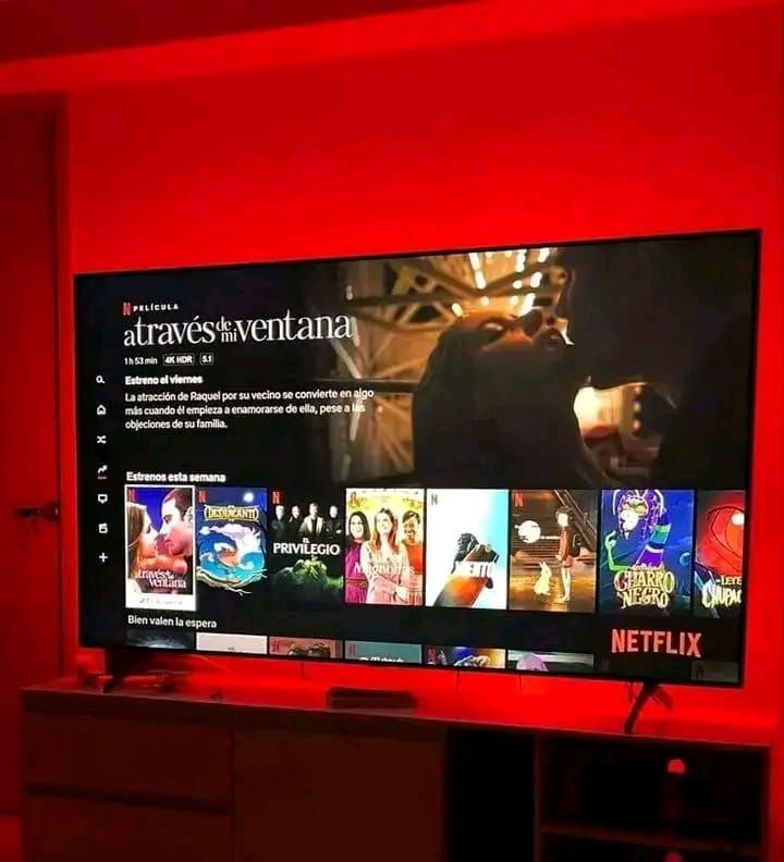 Netflix Platform streaming film dan serial TV